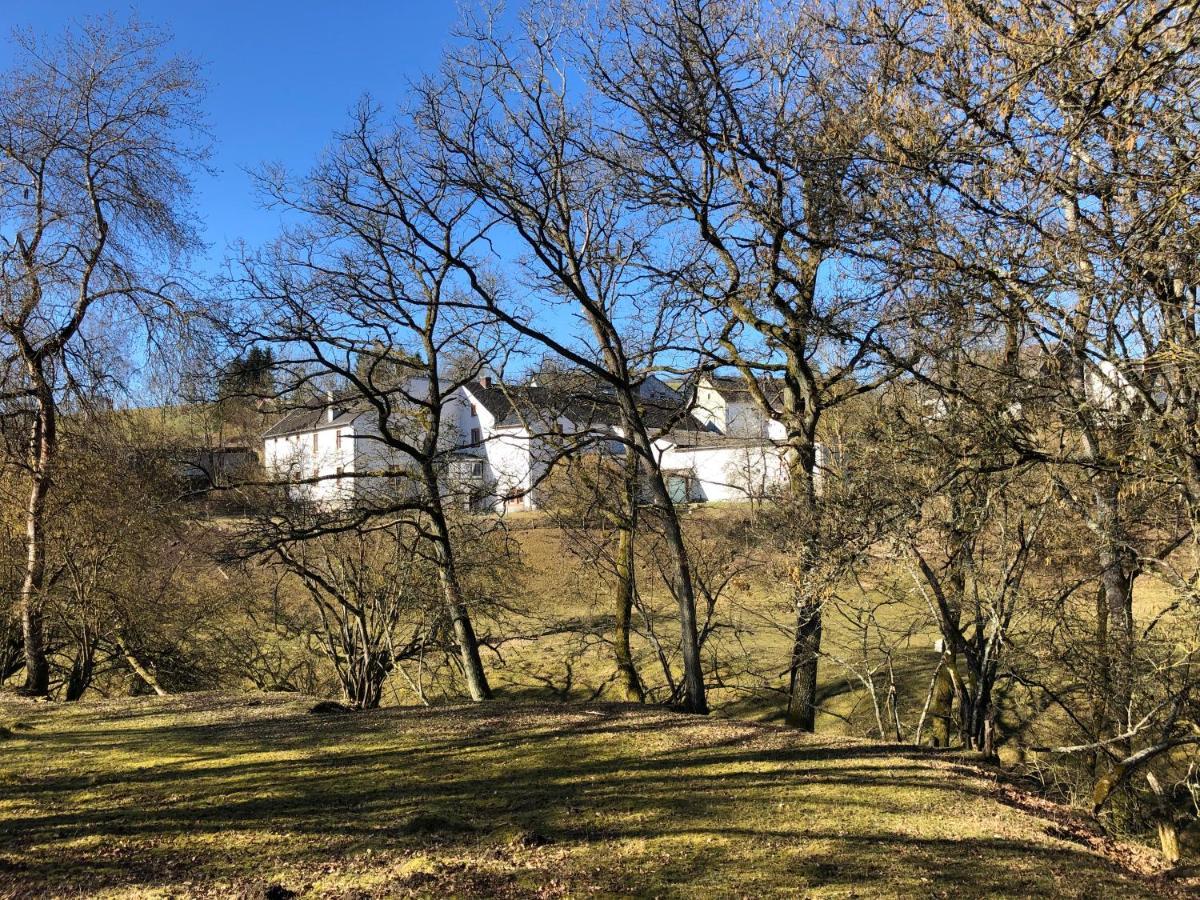 Ferienhaus Rehblick Rockeskyll Exterior foto