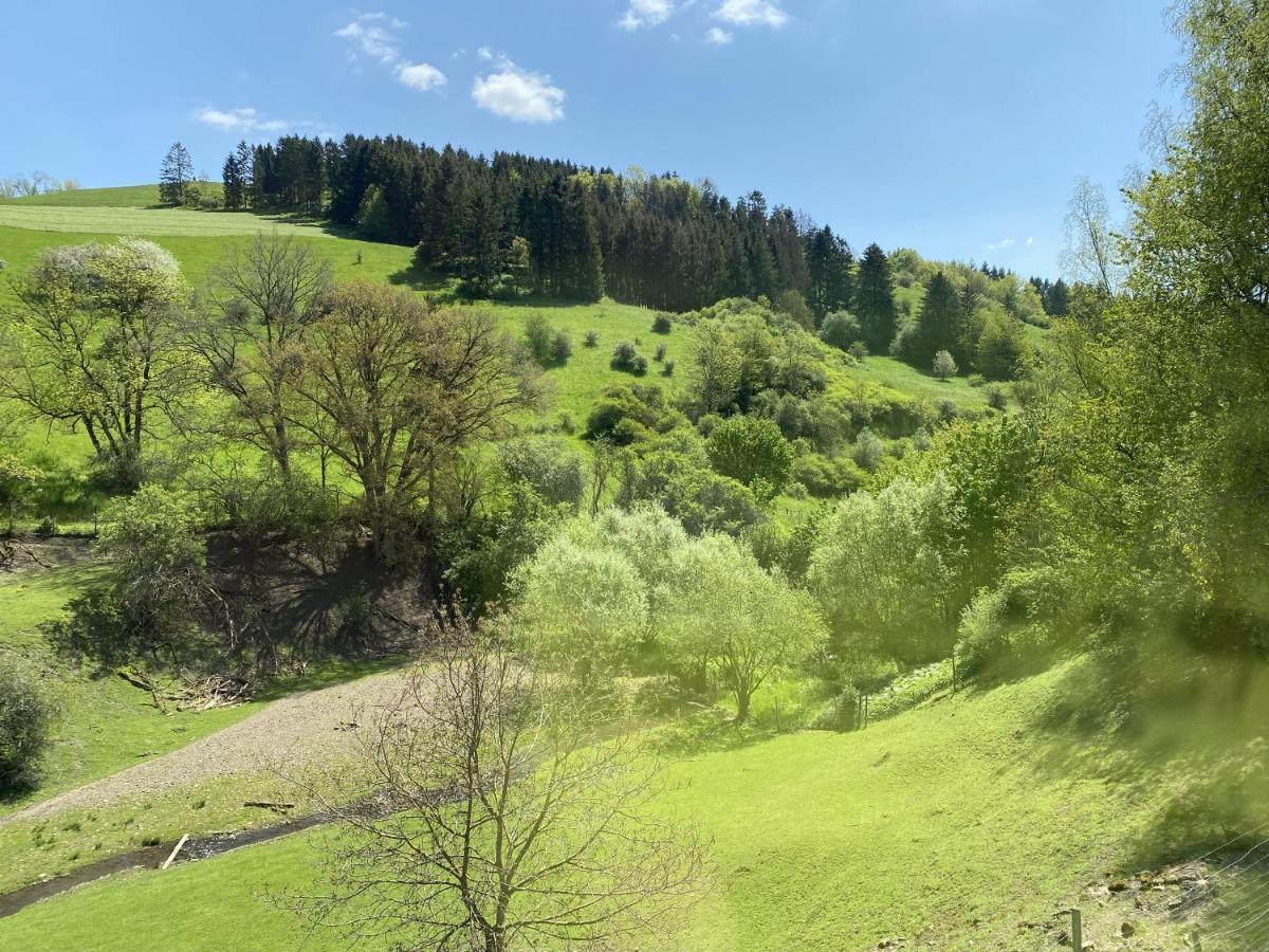 Ferienhaus Rehblick Rockeskyll Exterior foto